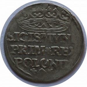 Zygmunt I Stary, Grosz 1528/9 h. Odrowąż
