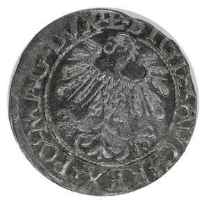 Zygmunt II August, Półgrosz, 1559, Wilno