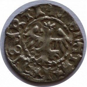 Półgrosz, Jan Olbracht, odmiana orła *