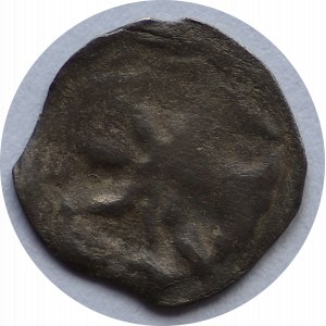 2 x denar XIV-XV w, Pomorze Zachodnie, Stargard