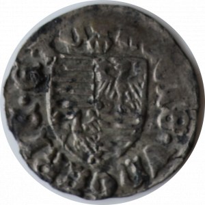 Zygmunt Luksemburski 1387-1437, Denar