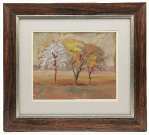 Emil KRCHA (1894-1972), Kwitnące drzewa
