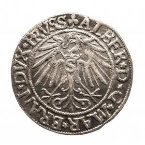 Prusy Książęce, Albrecht Hohenzollern 1525-1568, Grosz 1543, Królewiec