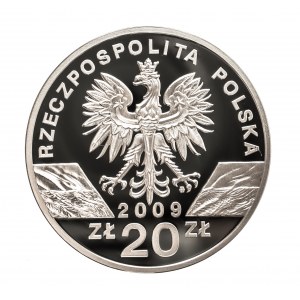 Polska, Rzeczpospolita od 1989 roku, 20 złotych 2009, Jaszczurka zielona, srebro, Warszawa