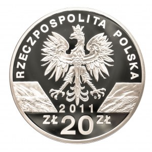 Polska, Rzeczpospolita od 1989, 20 złotych 2011, Borsuk