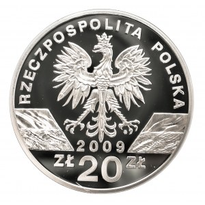 Polska, Rzeczpospolita Polska od 1989, 20 złotych 2009, Jaszczurka Zielona