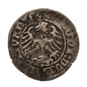 Polska, Zygmunt I Stary 1506–1548, półgrosz 1516, Wilno