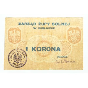 Galicja, Wieliczka - Zarząd Żupy Solnej, 1 korona 1919