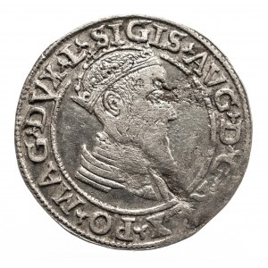 Polska, Zygmunt II August 1545–1572, czworak 1568, Wilno