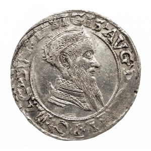 Polska, Zygmunt II August 1545–1572, czworak 1569, Wilno