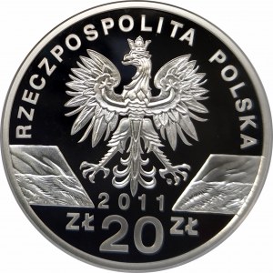 Polska, Rzeczpospolita od 1989 roku, 20 złotych 2011, Borsuk