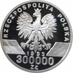 Polska, Rzeczpospolita od 1989 roku, 300000 złotych 1993, Jaskółki