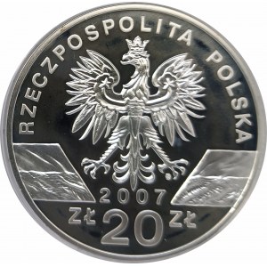 Polska, Rzeczpospolita od 1989 roku, 20 złotych 2007, Foka szara