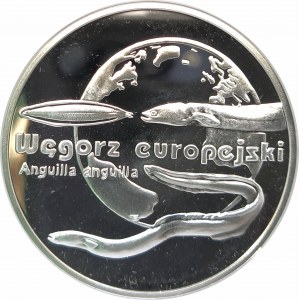 Polska, Rzeczpospolita od 1989 roku, 20 złotych 2003, Węgorz europejski
