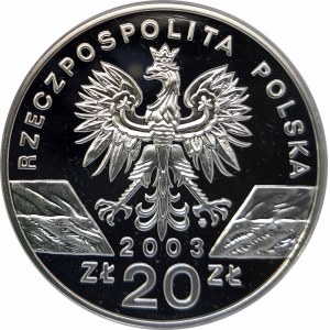 Polska, Rzeczpospolita od 1989 roku, 20 złotych 2003, Węgorz europejski