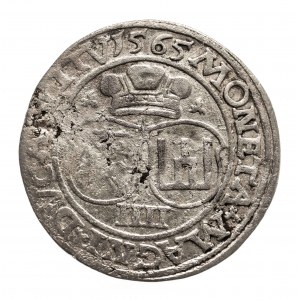 Polska, Zygmunt II August 1545-1572 czworak 1565, Wilno
