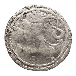 Polska, Wacław II Czeski (1300-1305), grosz praski (obcięty) bez daty, Kutná Hora