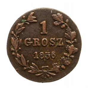Zabór rosyjski, Mikołaj I 1825-1855, grosz 1836 MW, Warszawa, wąska tarcza herbowa