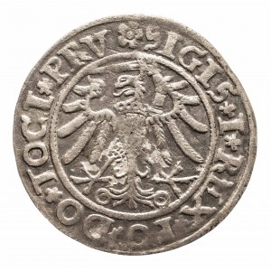 Polska, Zygmunt I Stary 1506-1548, grosz 1534, Elbląg.