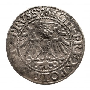Polska, Zygmunt I Stary 1506-1548, grosz 1540, Elbląg.
