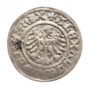 Polska, Aleksander 1501 - 1506, półgrosz, Kraków.