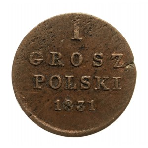 Królestwo Polskie, Mikołaj I 1825-1855, 1 grosz polski 1831 K.G., Warszawa