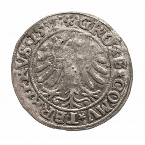 Polska, Zygmunt I Stary 1506-1548, grosz 1531, Toruń
