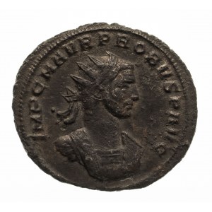 Cesarstwo Rzymskie, Probus (276-282), antoninian 276-282, Serdica