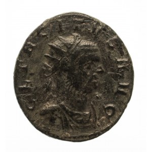 Cesarstwo Rzymskie, Tacyt (275-276), antoninian 275-276, Ticinum