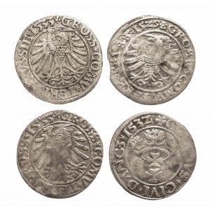 Polska, Zygmunt I Stary (1506-1548), zestaw 4 groszy, Toruń, Gdańsk.