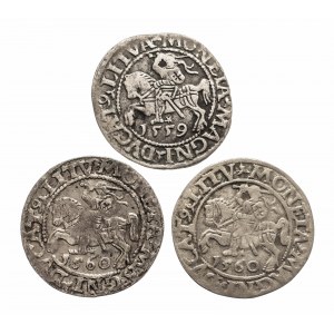 Polska, Zygmunt II August (1548-1572), zestaw 3 półgroszy, Wilno.