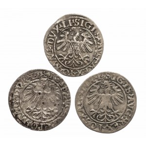 Polska, Zygmunt II August (1548-1572), zestaw 3 półgroszy, Wilno.