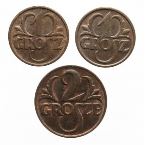 Polska, II Rzeczpospolita 1918-1939, zestaw 3 monet groszowych.