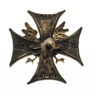 Polska, II Rzeczpospolita 1918-1939, odznaka pamiątkowa Front Litewsko-Białoruski od 1921