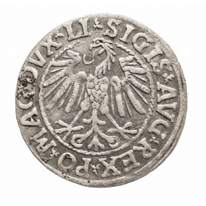 Polska, Zygmunt II August 1545-1572, półgrosz 1548, Wilno.