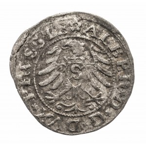 Ducal Prussia, Albert Hohenzollern (1525-1568), 1530 shekel, Königsberg