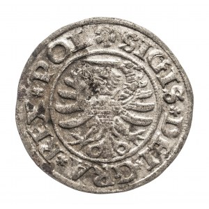 Polska, Zygmunt I Stary (1506-1548), szeląg 1530, Gdańsk