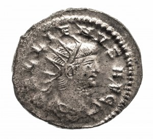 Cesarstwo Rzymskie, Galien (253-268), antoninian, Antiochia