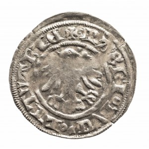 Poland, Alexander Jagiellon (1501-1506), Lithuanian half-penny without date, WIlno