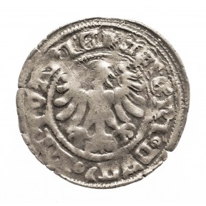 Polen, Alexander Jagiellon (1501-1506), litauischer Halbpfennig ohne Datum, Vilnius