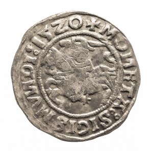 Polska, Zygmunt I Stary (1506-1548), półgrosz 1520, WIlno