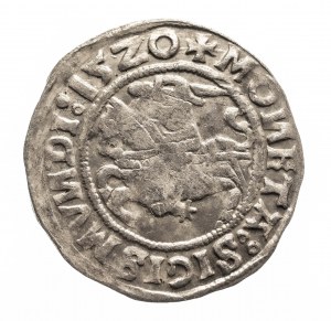 Poland, Sigismund I the Old (1506-1548), half-penny 1520, WIlno