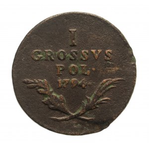 Military coins for the Polish lands, 1794 penny, Vienna.