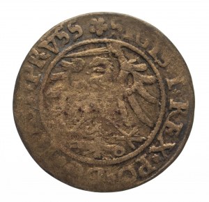 Poland, Sigismund I the Old 1506-1548, penny 1534, Elbląg