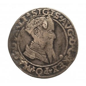 Poland, Sigismund II Augustus (1548-1572), quadrangle 1565, Vilnius