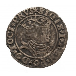 Poland, Sigismund I the Old (1506-1548), penny 1531, Torun.