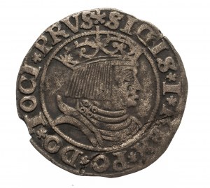 Polska, Zygmunt I Stary (1506-1548), grosz 1531, Toruń.