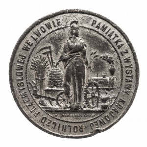Polska, XIX wiek - Galicja, medal z Wystawy Krajowej Rolniczo-Przemysłowej we Lwowie 1877.