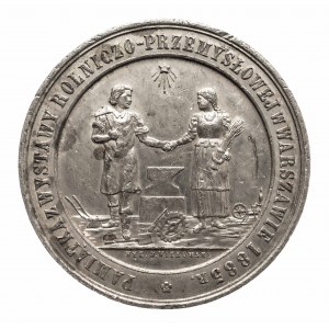 POLAND, 19th century - medal from the partition period made to commemorate the Agricultural and Industrial Exhibition in Warsaw, 1885.