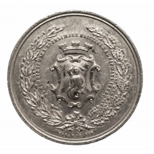 POLSKA, XIX wiek - medal z okresu zaborów wykonany na pamiątkę Wystawy Rolniczo-Przemysłowej w Warszawie, 1885 r.